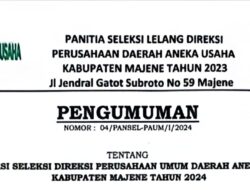 Info Penting: Seleksi Direksi Perusda Aneka Usaha Majene Resmi Dibuka