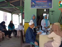Puskesmas Sendana I Grebek Desa Sehat di Desa Tallu Banua